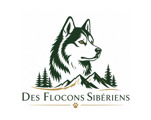 logo des flocons sibériens